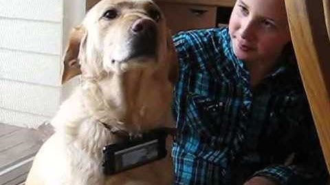 Demo for "DugCollar" Android App