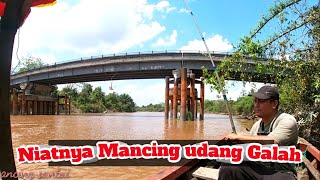 Mancing Udang di sungai Indragiri || Batang rengat
