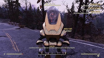 Fallout 76 insult bot encounter #1