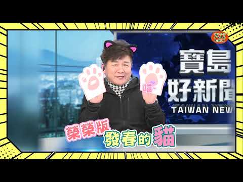 家榮小棋 你們知道發春的貓怎麼叫嗎??