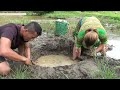 Primitive Skills. Making Fish Traps With Plastic Pipes Catch Many Fish By The River, Survival Skills