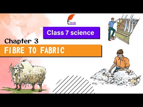 NCERT Solutions for Class 7 Science Chapter 3 Fibre to Fabric