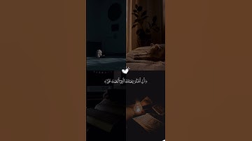 سورة النور القارء                      شريف مصطفى