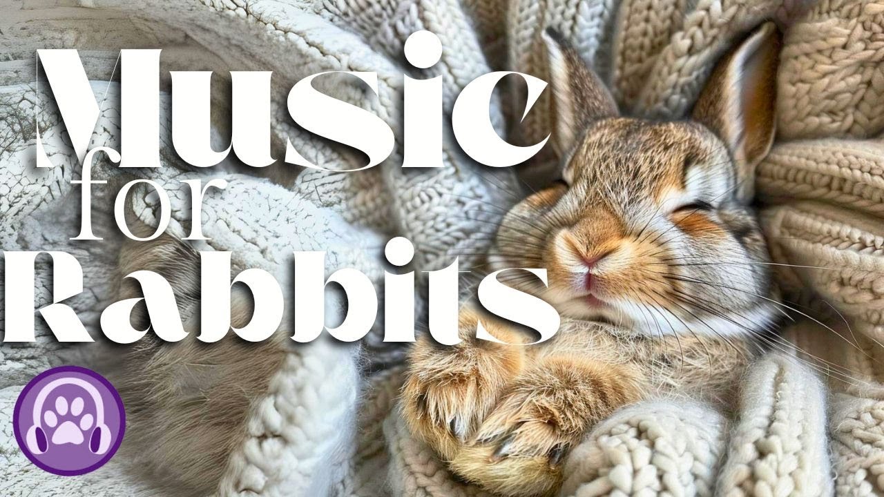 Music for Rabbits with Anxiety - Relaxing Lullabies - YouTube