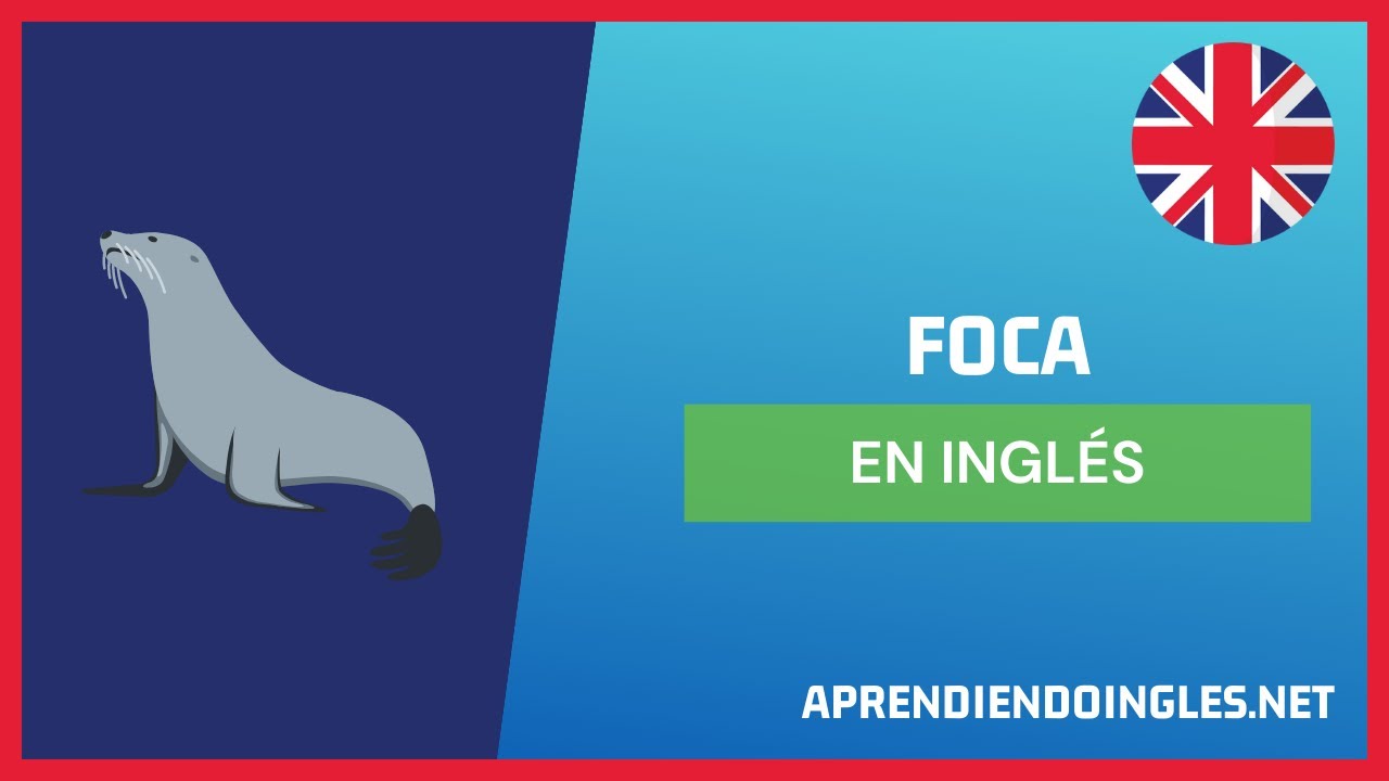 CÓMO se dice FOCA en INGLÉS 2022 🚀 APRENDE A ESCRIBIR SEAL