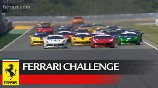 The octane 126 team dominated from early stages 488 challenge’s
first race in europe. everyone was expecting another win for reigning
champion bjorn ...