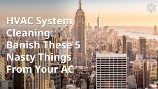 Banish These 5 Nasty Things From Your AC