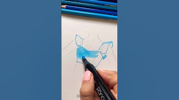 How to draw denim crop top #artist #colorpencil #illustration #denim #markers #shorts