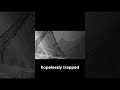 Divers vs  Steel Nets in Arctic Waters #soe #ww2sabotage #history #alliedsecretweapons #ww2
