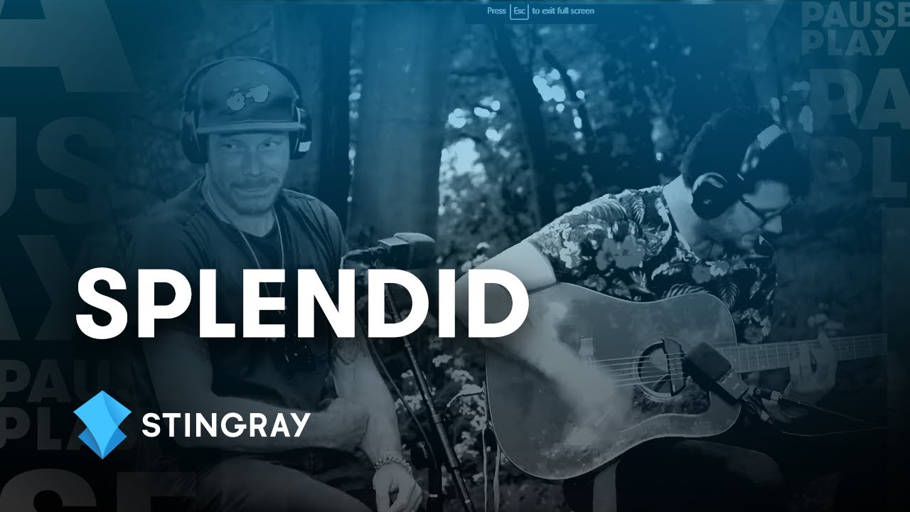 Splendid-Again | Live @ Stingray PausePlay
