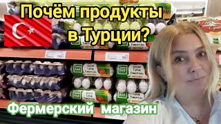 картинка: Зашла в фермерский магазин Kooperatif показываю цены и ассортимент! Анталия осень 2025 