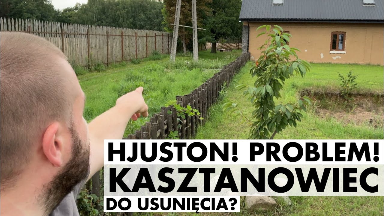 Masa zagadek-ZERO POMYSŁÓW! Siedliskowy workplan