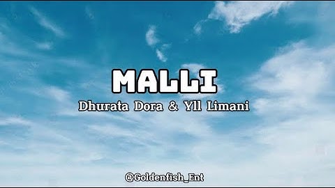DHURATA DORA X YLL LIMANI - MALLI (Lyrics)