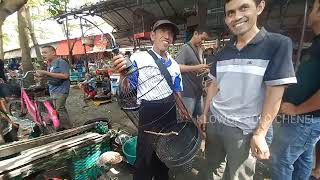 Berburu Burung Favorit di Pasar Burung Depok Solo