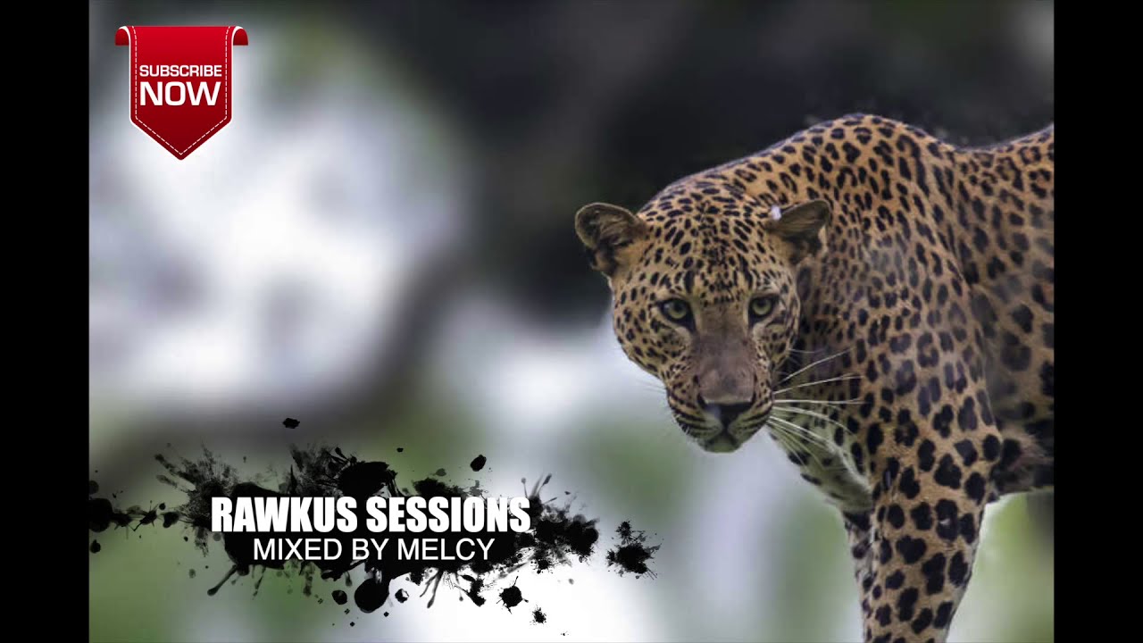 SA DEEP HOUSE MUSIC | THE RAWKUS SESSIONS | MELCY