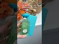 Spend the Day with Moroccanoil for their New Eau de Parfum