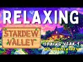 Relaxing Stardew Valley 1.6 Longplay | Spring Year 1 (Full Season) | No Commentary