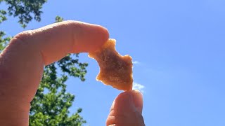 Field keeps producing! SW Ohio field walking for Native American Artifacts