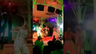 Papyon Hint Düğünü İndian Wedding Geleneksel Hint Dansı Maroyal