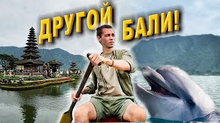 видео: Таким Бали вы еще не видели! Путешествие на север: дельфины, заброшенный отель, водопады и клубника! картинка: Таким Бали вы еще не видели! Путешествие на север: дельфины, заброшенный отель, водопады и клубника!