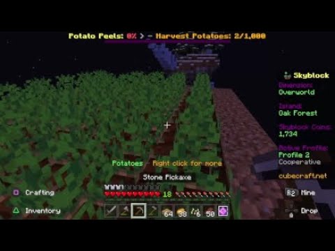 Minecraft cubecraft skyblock ep3 (unlocking the 3rd island - YouTube