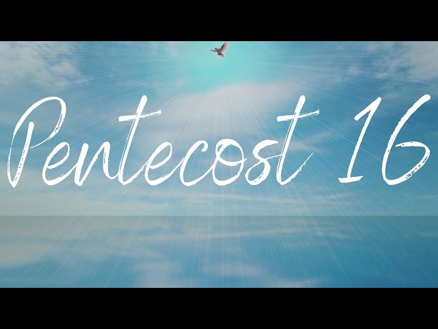 Sunday service,  13 September 2026