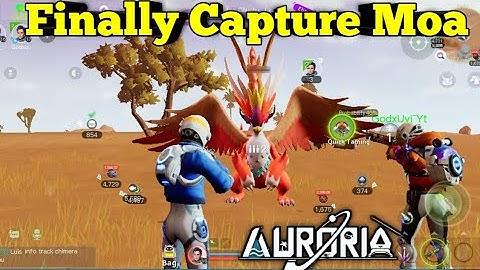 Finally Capture Moa Chuchu Auroria🤗|| Auroria A playful journey Gameplay|| New Game like palworld