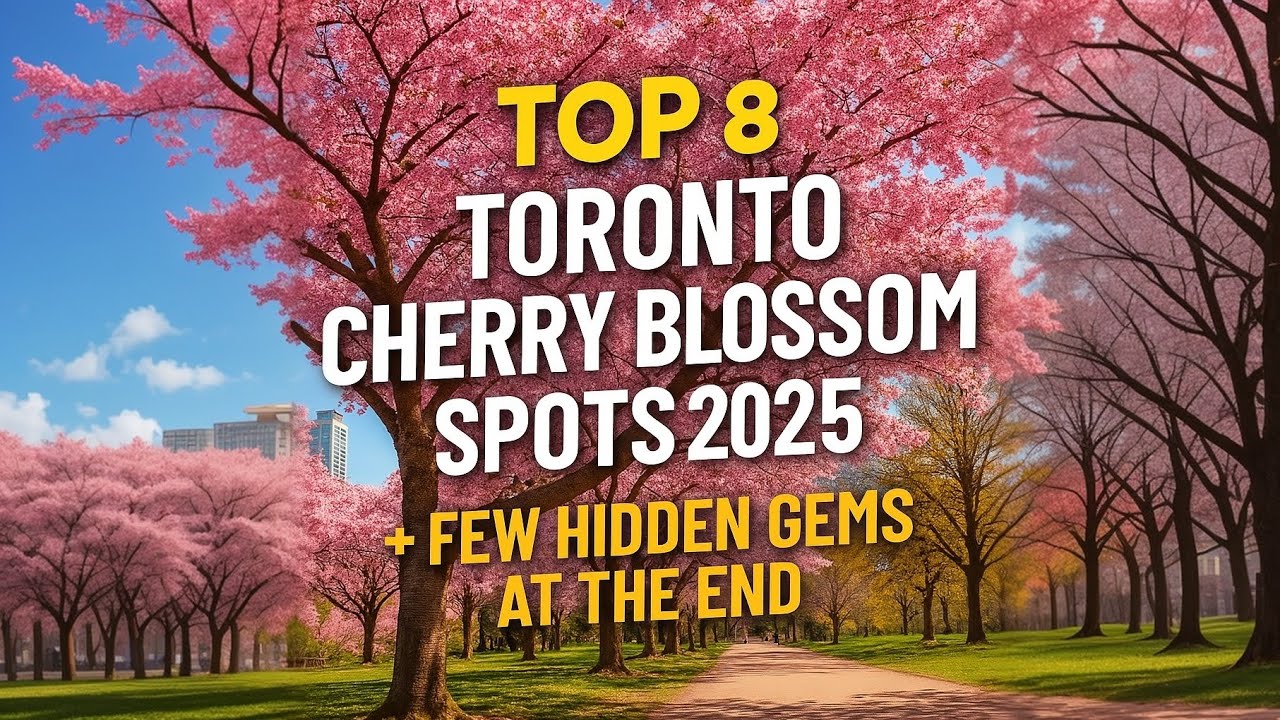 Top 8 Toronto Cherry blossom spots | 2025