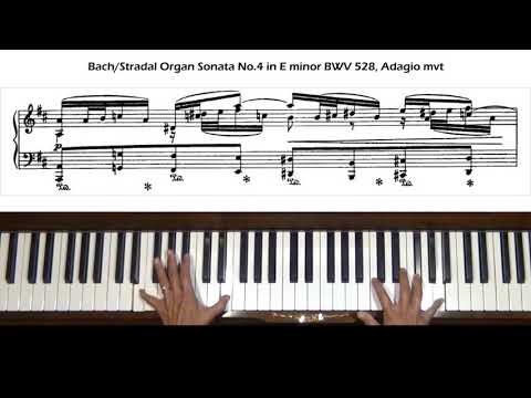 Video: Çfarë janë partita bach?