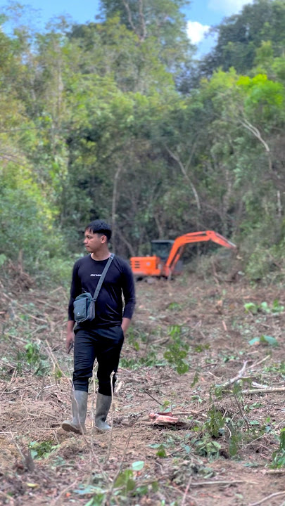 Selagi muda harus banyak berkeringat dan berfikir 😁👆 #shorts #sawit #lahan