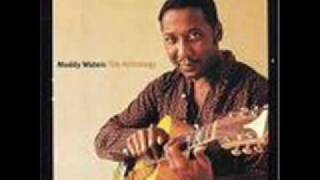 Video thumbnail of "Muddy Waters - Baby Please Don't Go"