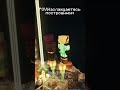#minecraft #minecraftserver #майнкрафт