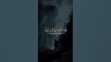 اكتب شي تؤجر عليه ♡✨️ | القارئ شريف مصطفى | قرآن كريم