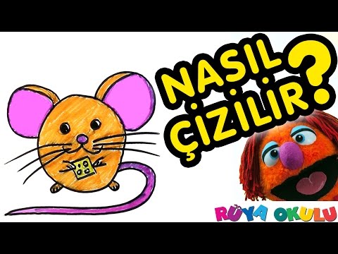 Video: Bir Dairə Necə çəkilir