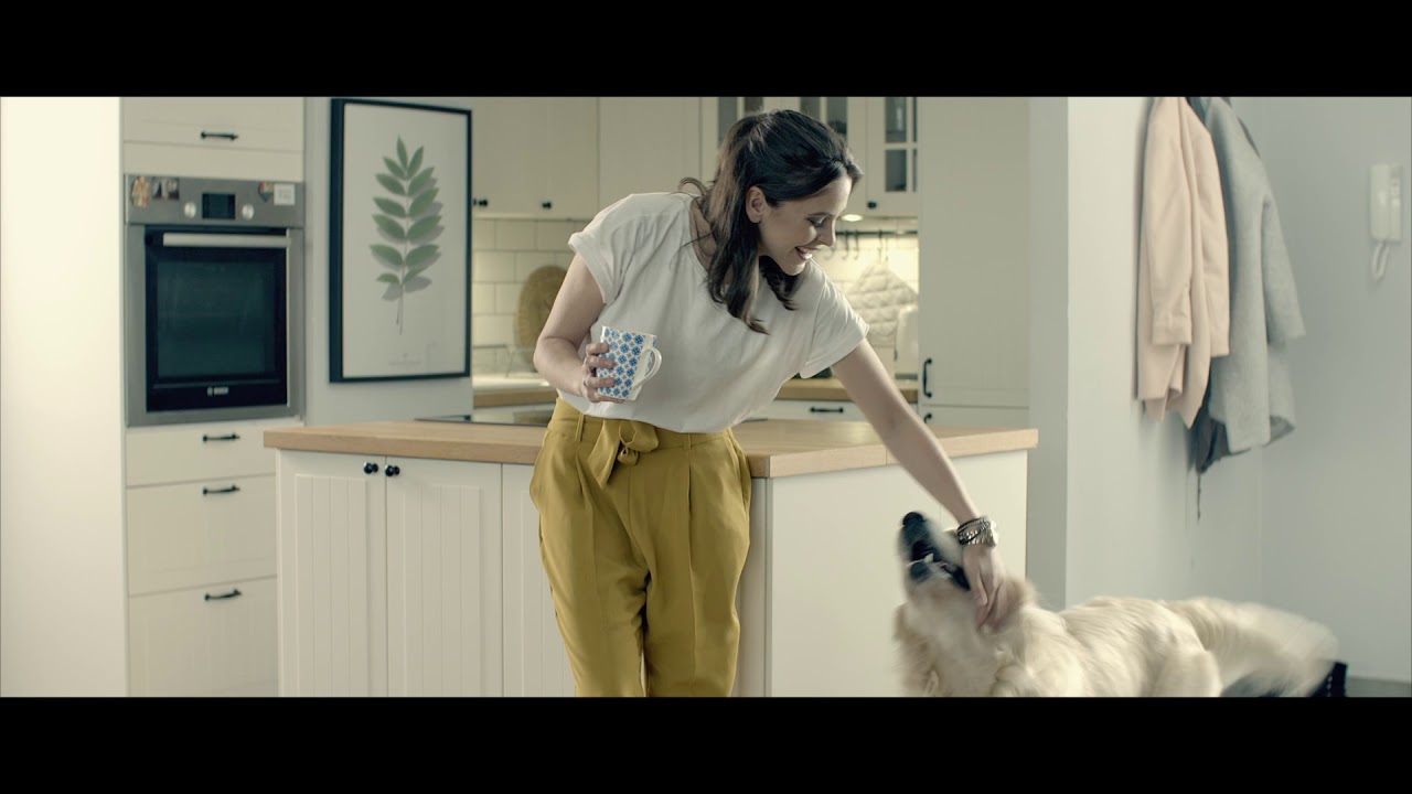 PetsDiag hair analysis dog's diagnostic YouTube