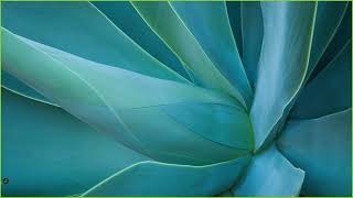 [ITWILL 데이터분석 부트캠프 52기] 10/17 - Python [3-1] 프로그램 흐름제어 (1)