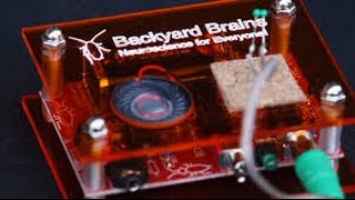 Backyard Brains Demo