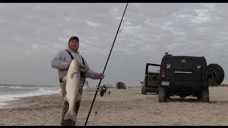 Big Stripers from the beach, with Billy Fischer