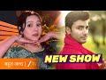 Vasudha Makers Bringing NEW SHOW on ZEE TV | Ankur Verma To Play Lead | Upcoming Serial