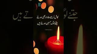 Ayaan Jan Writes Urdu Poetry -Short Statos Writing