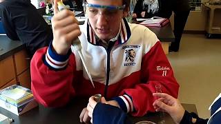 EvolvingSTEM at Winnacunnet HS, Hampton NH