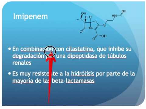 Carbapenems: repaso