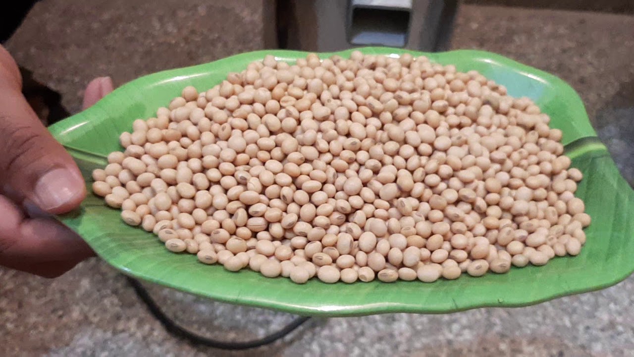 Soya paneer making machine, Tofu Making Machine, soya milk plant, soya