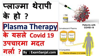 Plasma Theraphy के हो ? Covid 19 को उपचारमा कसरी मदत गर्छ ? माहामारी कसरी रोक्छ प्लाज्मा थेरापीले