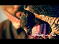 الشاعر ناصر الخالدي