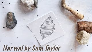 NARWAL BY SAM TAYLOR || Zentangle