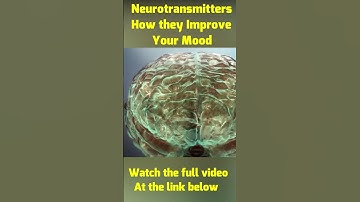 Unlocking Happiness: How Your Diet Shapes Neurotransmitters for Mood Enhancement