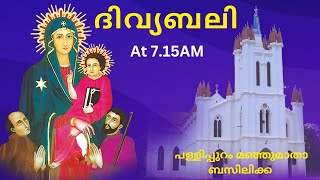 Holy Mass Live @7.15AM Monday 20/5/24 From Basilica Of Our Lady Of Snow,Palliport