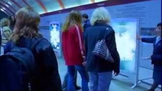 Masaru Emoto Su Deneyi