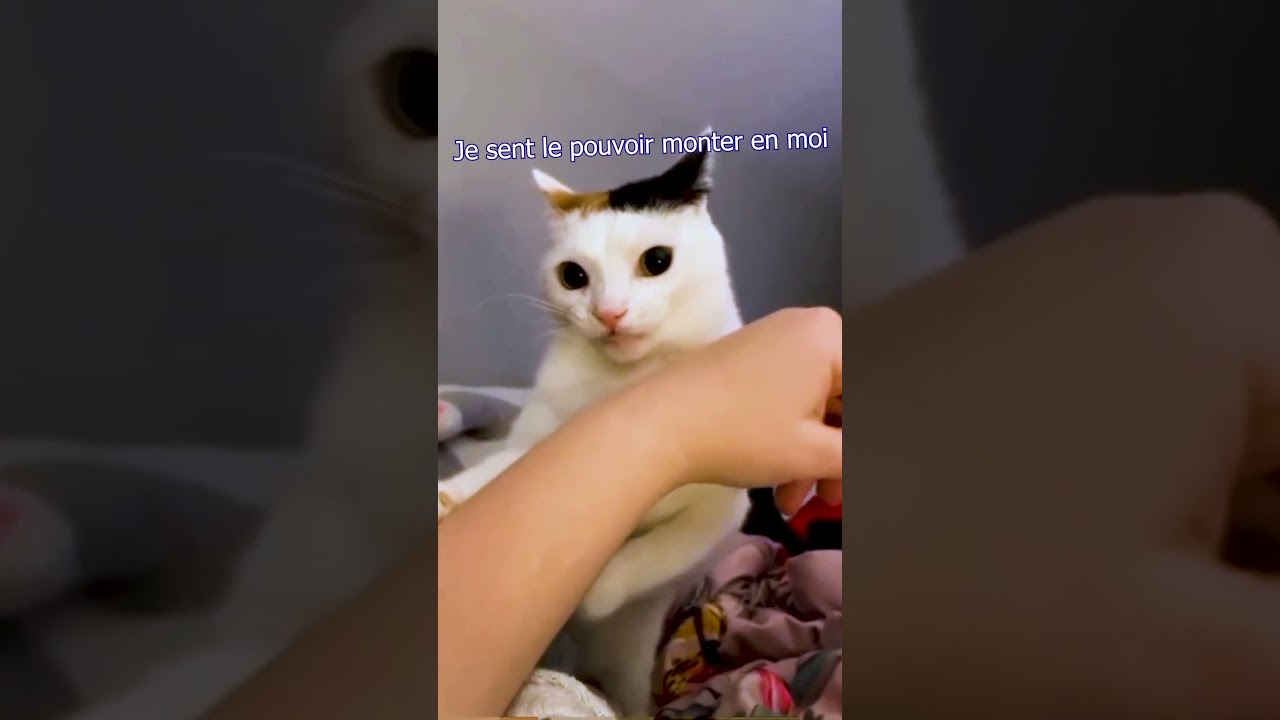 J'ai pris quoi là??